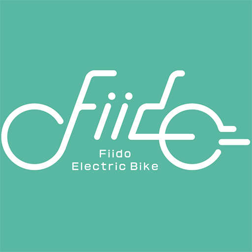Fiido Electric Bikes