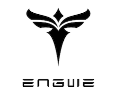 Engwe Bikes Review and Coupons