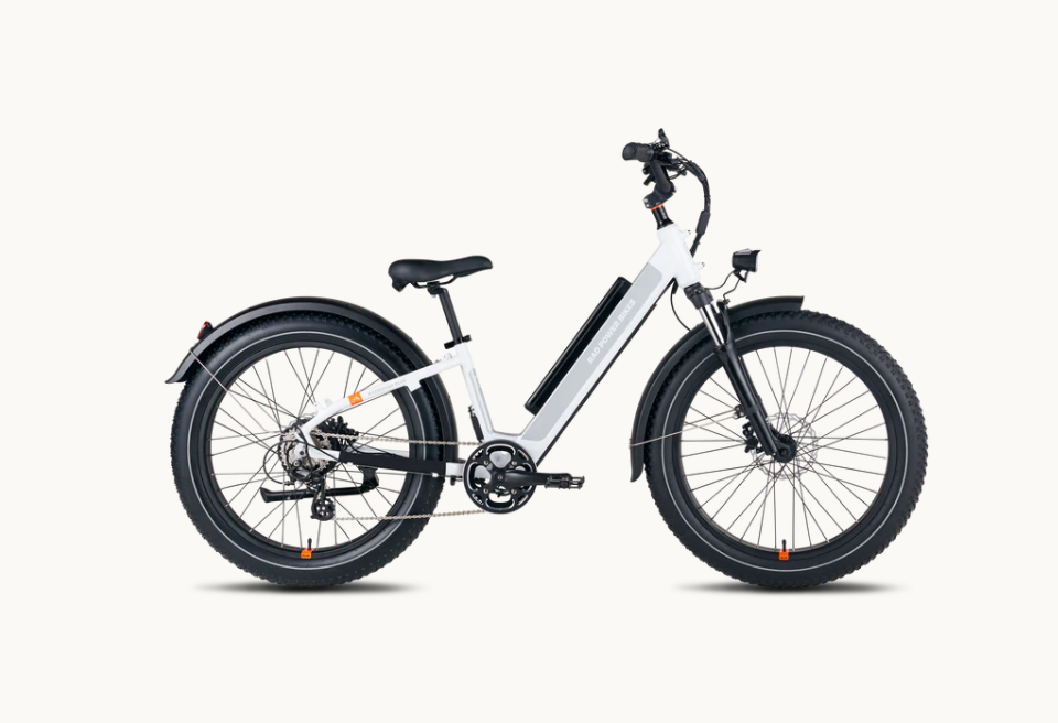 rad power bikes, rad power e-bikes, rad power electric bikes