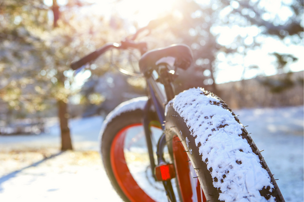 Advantages and Disadvantages of Fat-Tire E-bikes